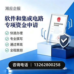 临沂软件和集成电路专项资金申报服务
