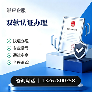 临沂双软认证申报服务