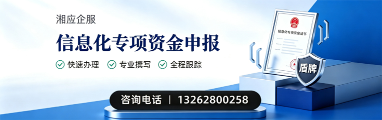 临沂信息化专项资金申报服务