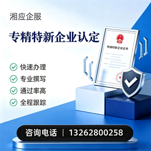 临沂专精特新企业申报服务