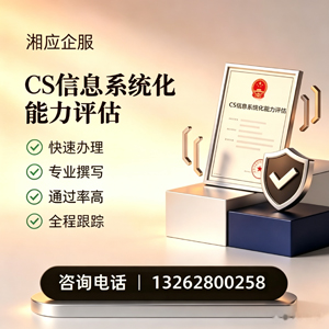 临沂CS信息系统化能力评估申报服务