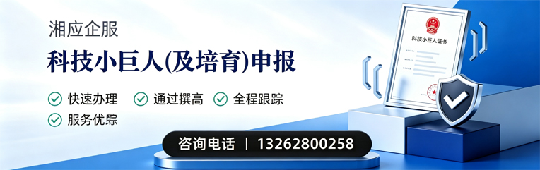 临沂科技小巨人及培育企业申报服务