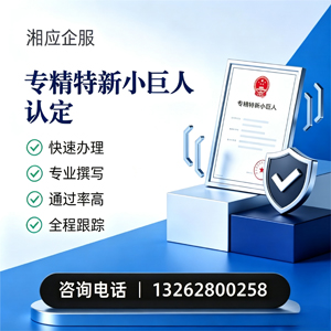 临沂专精特新小巨人申报服务