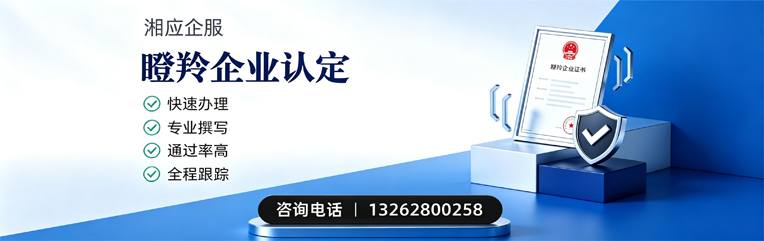 临沂瞪羚企业认定申报服务