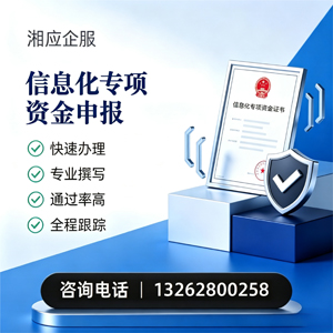 临沂信息化专项资金申报服务