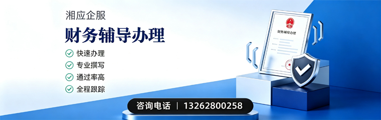 临沂财务辅导申请服务