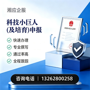 临沂科技小巨人及培育企业申报服务