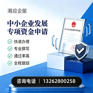 临沂中小企业发展专项资金申报服务