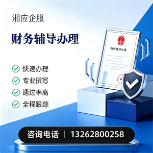 临沂财务辅导申请服务
