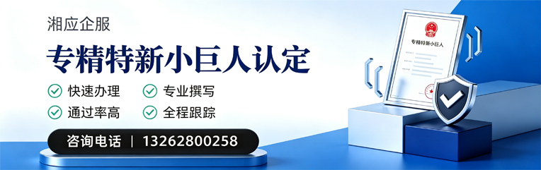 临沂专精特新小巨人申报服务
